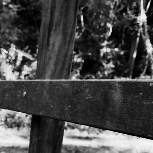 100% crop from the scan above.