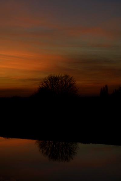 Ouse and trees, I