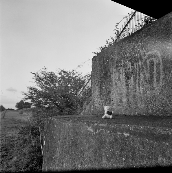 Tiny teddy sits under a bridge