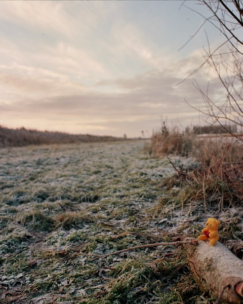 Tiny teddy takes a rest