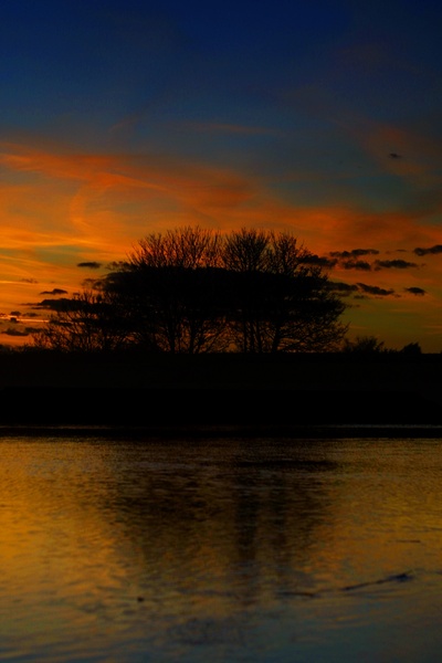 More Ouse and trees