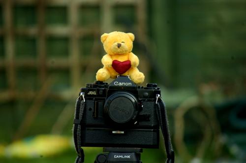 Tiny teddy!!