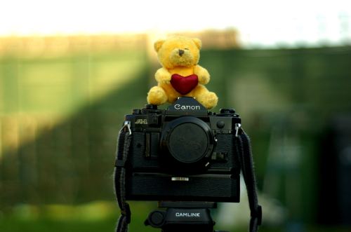 Tiny teddy test shot 2!